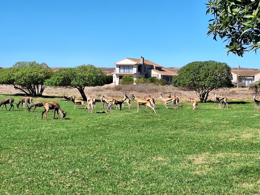 0 Bedroom Property for Sale in Langebaan Country Estate Western Cape